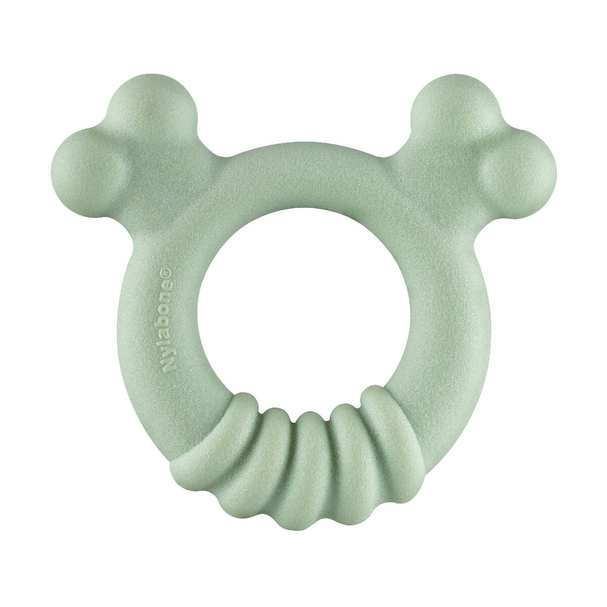 Image secondaire de Jouet pour chien Nylabone SENSORY TACTILE RING Vert Beurre de cacahuètes Poulet S