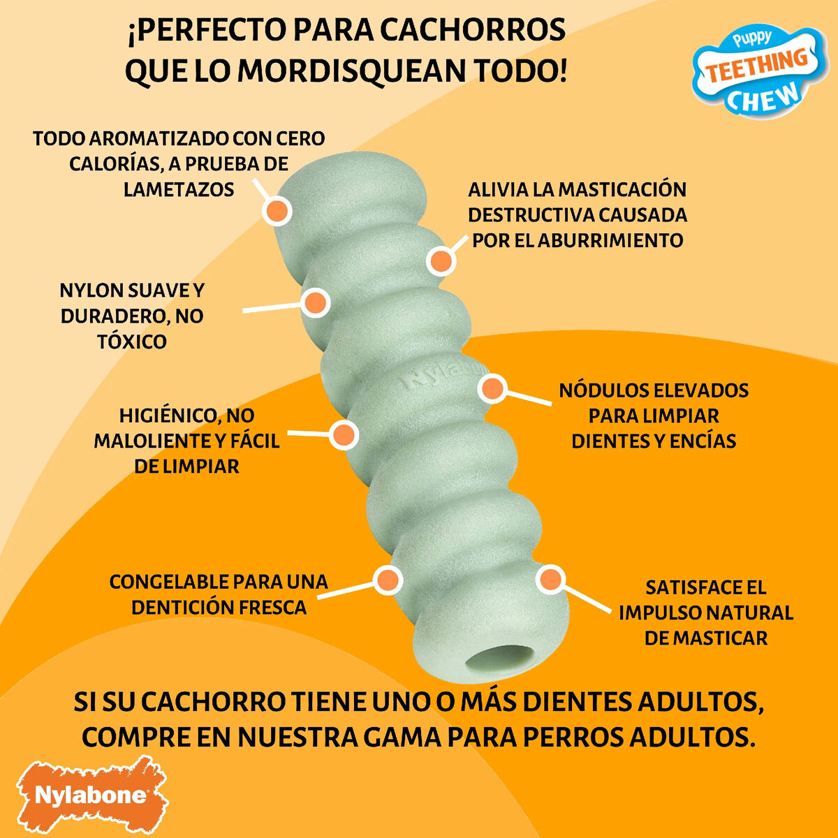 Image secondaire de Jouet pour chien Nylabone SENSORY TACTILE STICK Vert Beurre de cacahuètes Bacon S