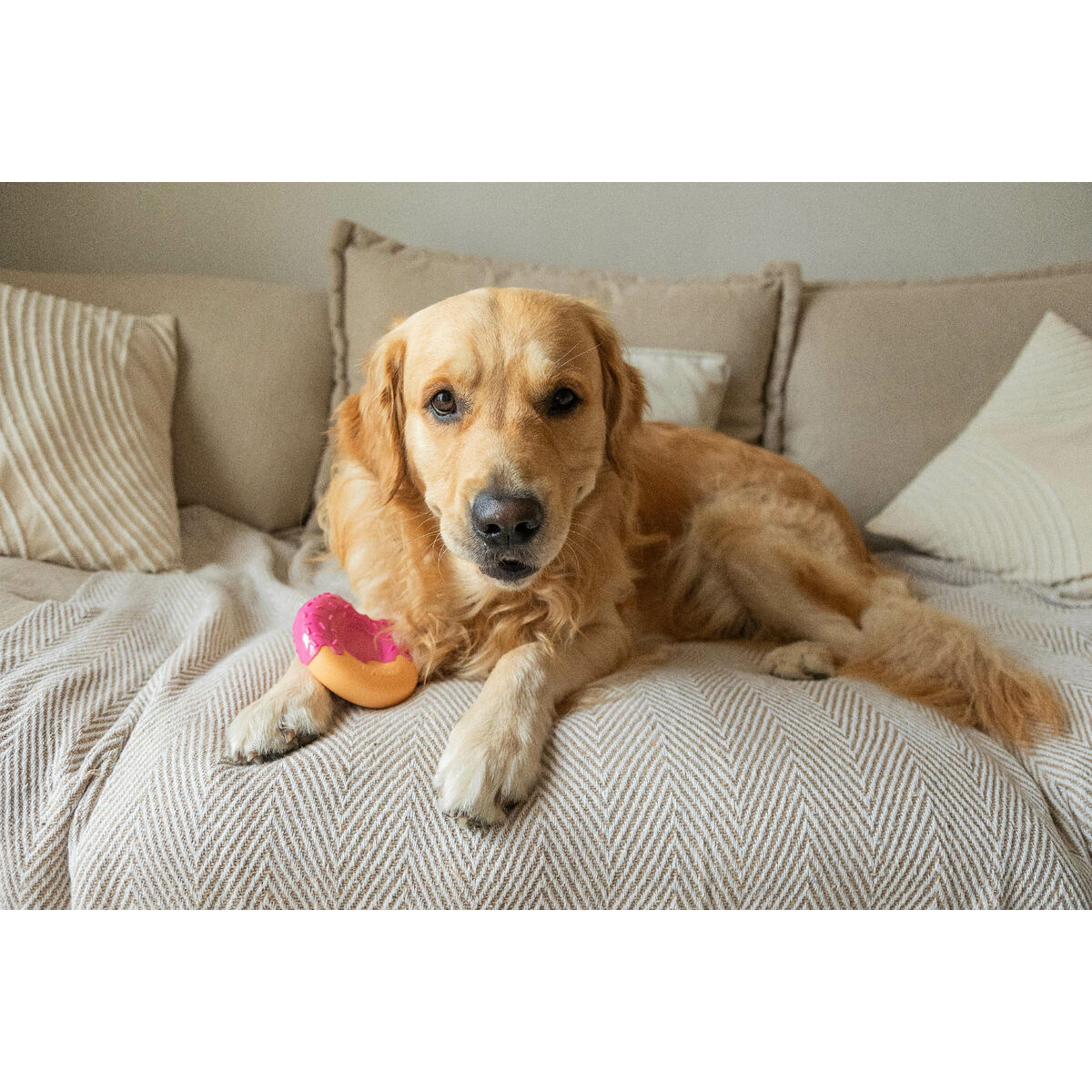 Dog chewing toy Nylabone Pink Bacon L, view 4