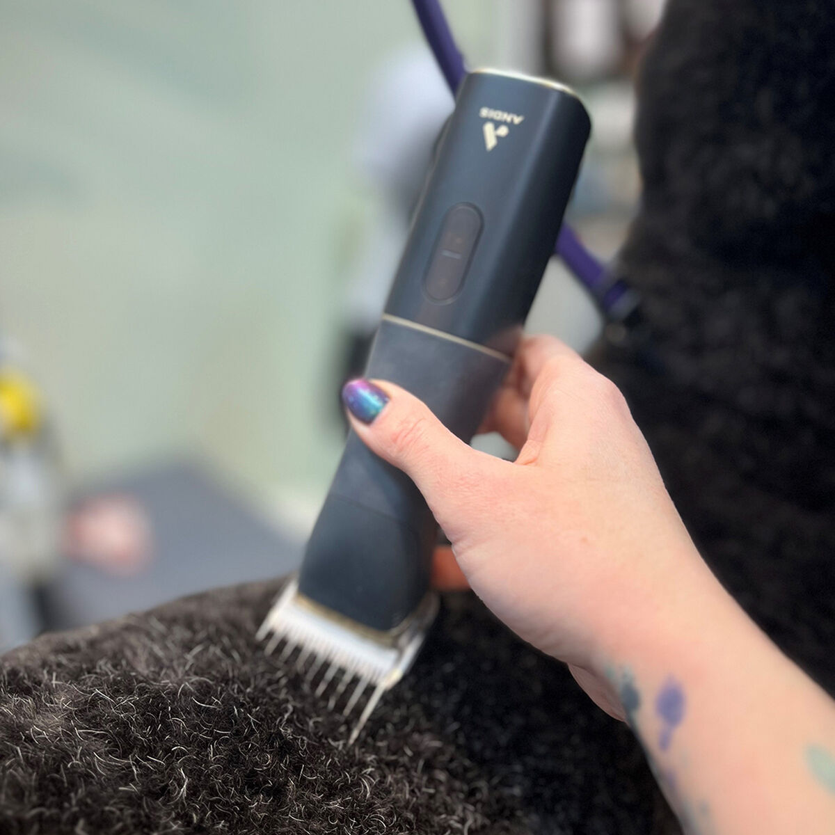 Haarknipper voor huisdieren Andis BESPOKE Zwart