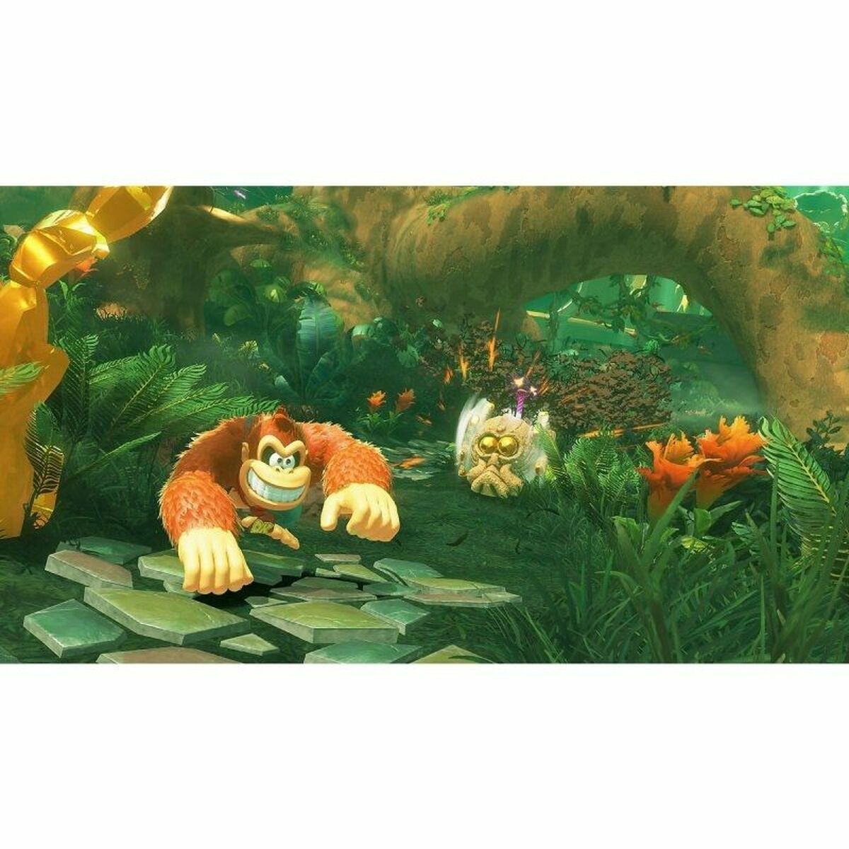 Picture of Video game for Switch Nintendo Donkey Kong Bananza Switch 2