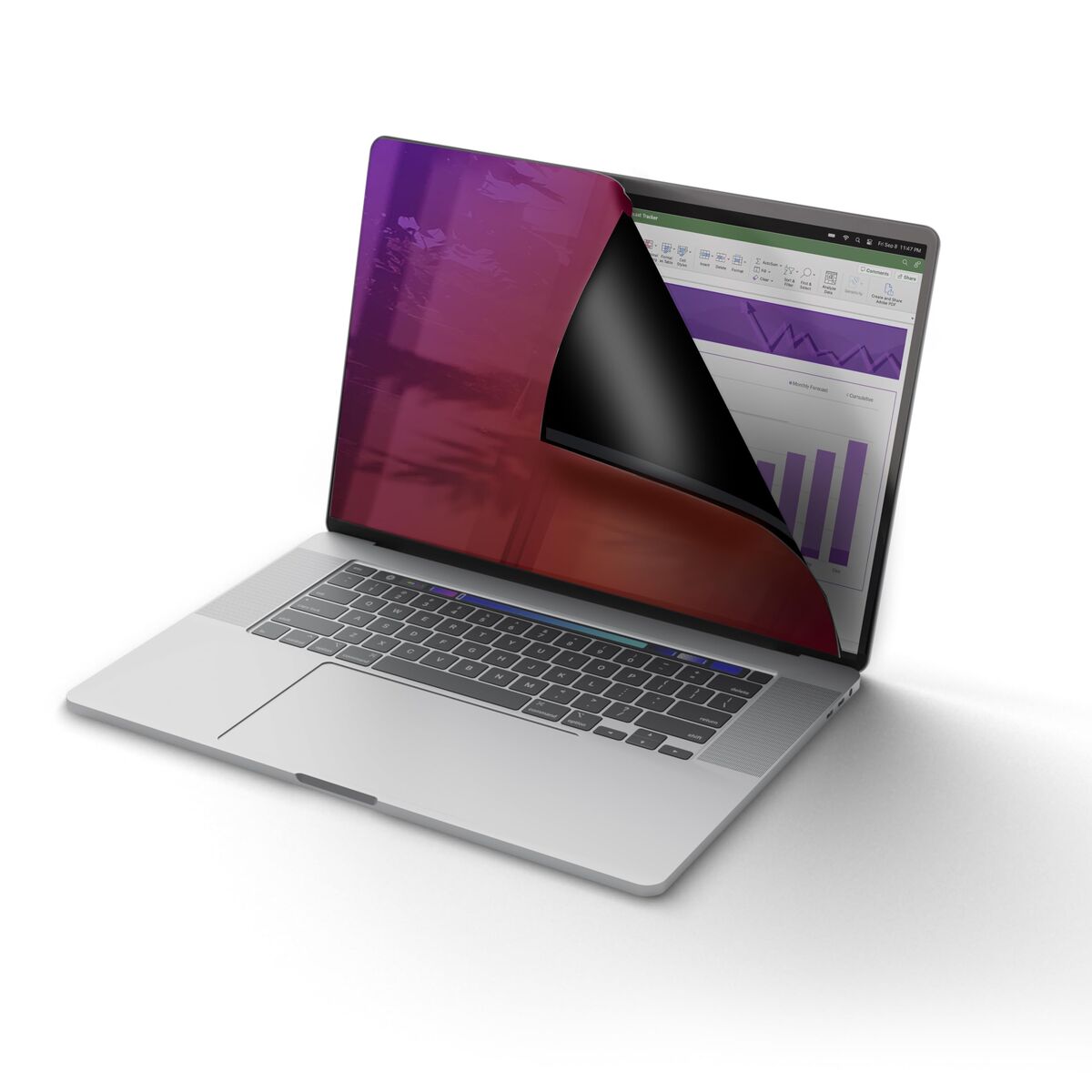 Image de Filtre de Confidentialité pour Moniteur Startech 142MG-PRIVACY-SCREEN