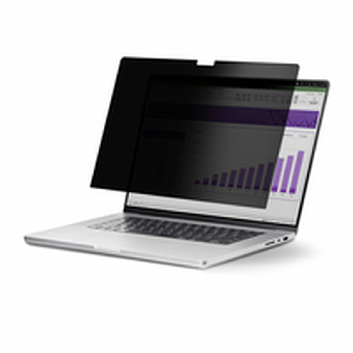 Afbeeldingen van Notebook Stand Startech 141T6-PRIVACY-SCREEN Plastic
