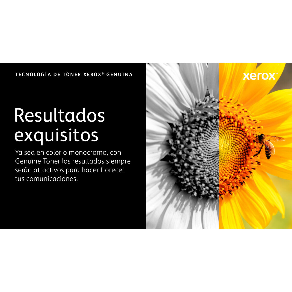 Picture of Toner Xerox 006R04627 Yellow Black (1 Unit)