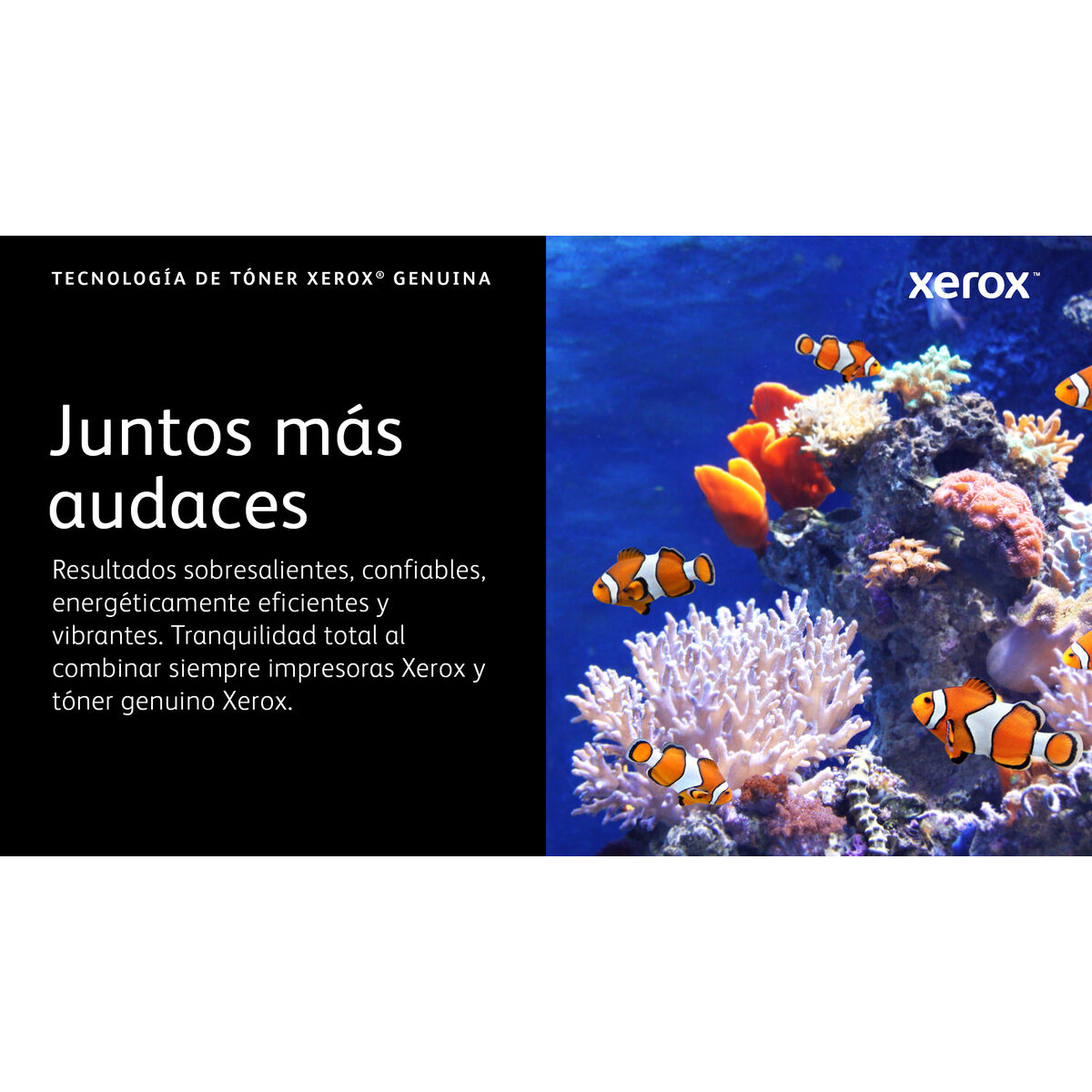 Bild von Original Ink Cartridge Xerox 006R04668 Black