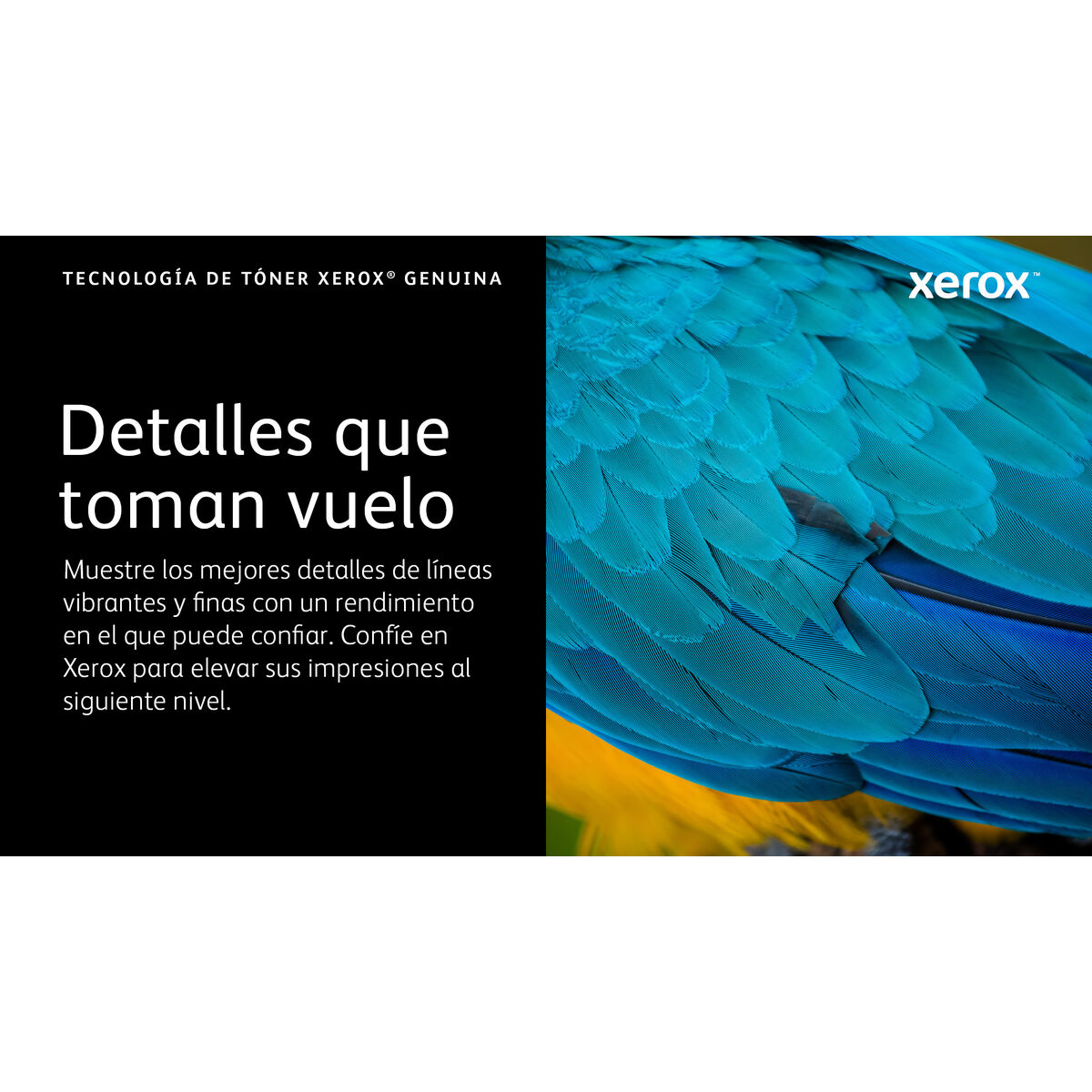 Bild von Original Ink Cartridge Xerox 006R04668 Black