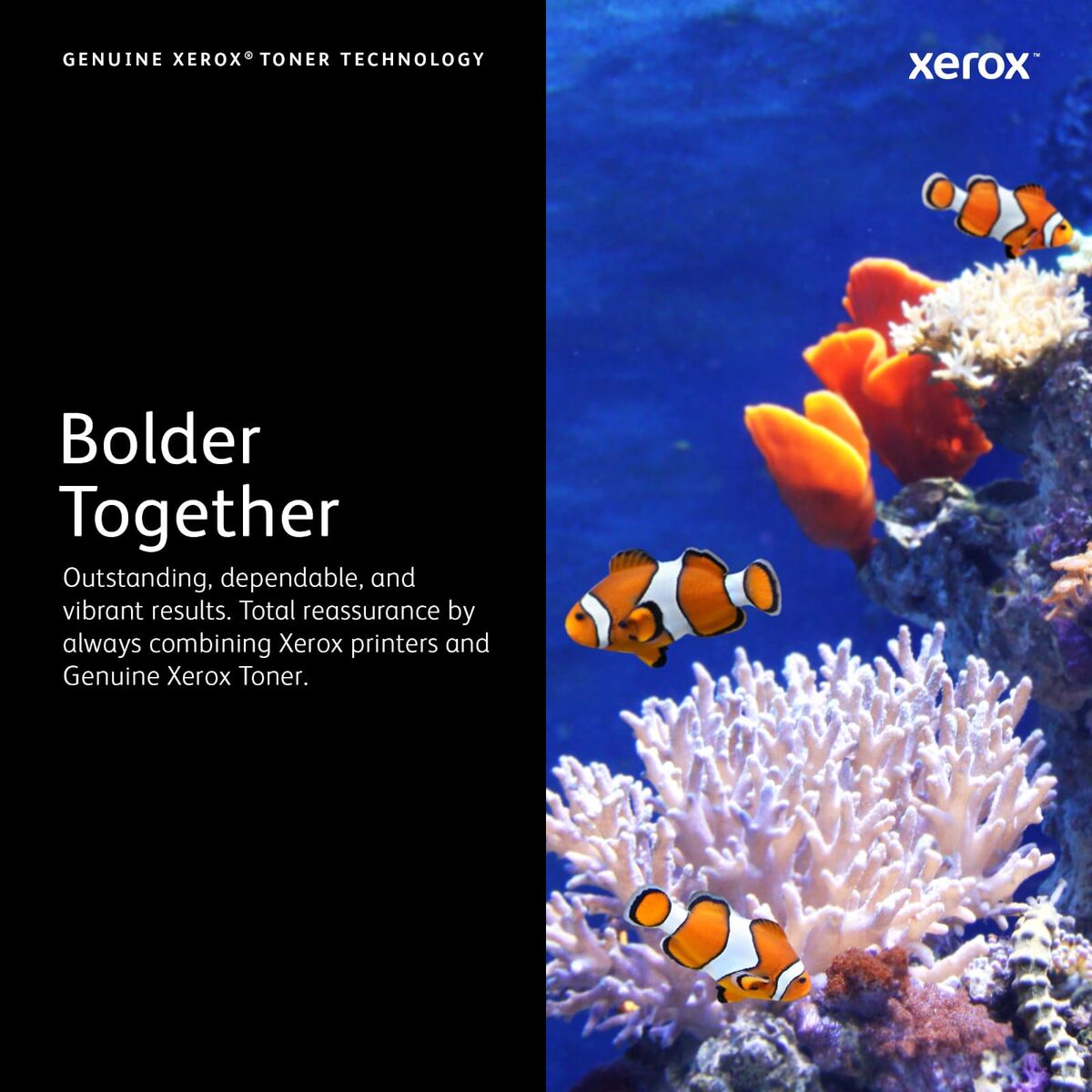 Picture of Original Ink Cartridge Xerox 006R04686 Cyan