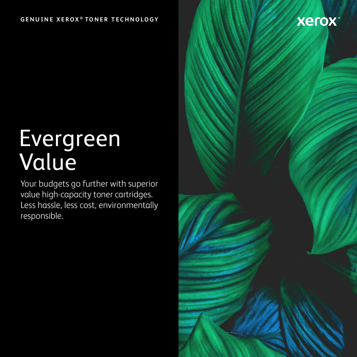 Bild von Original Ink Cartridge Xerox 116R00039