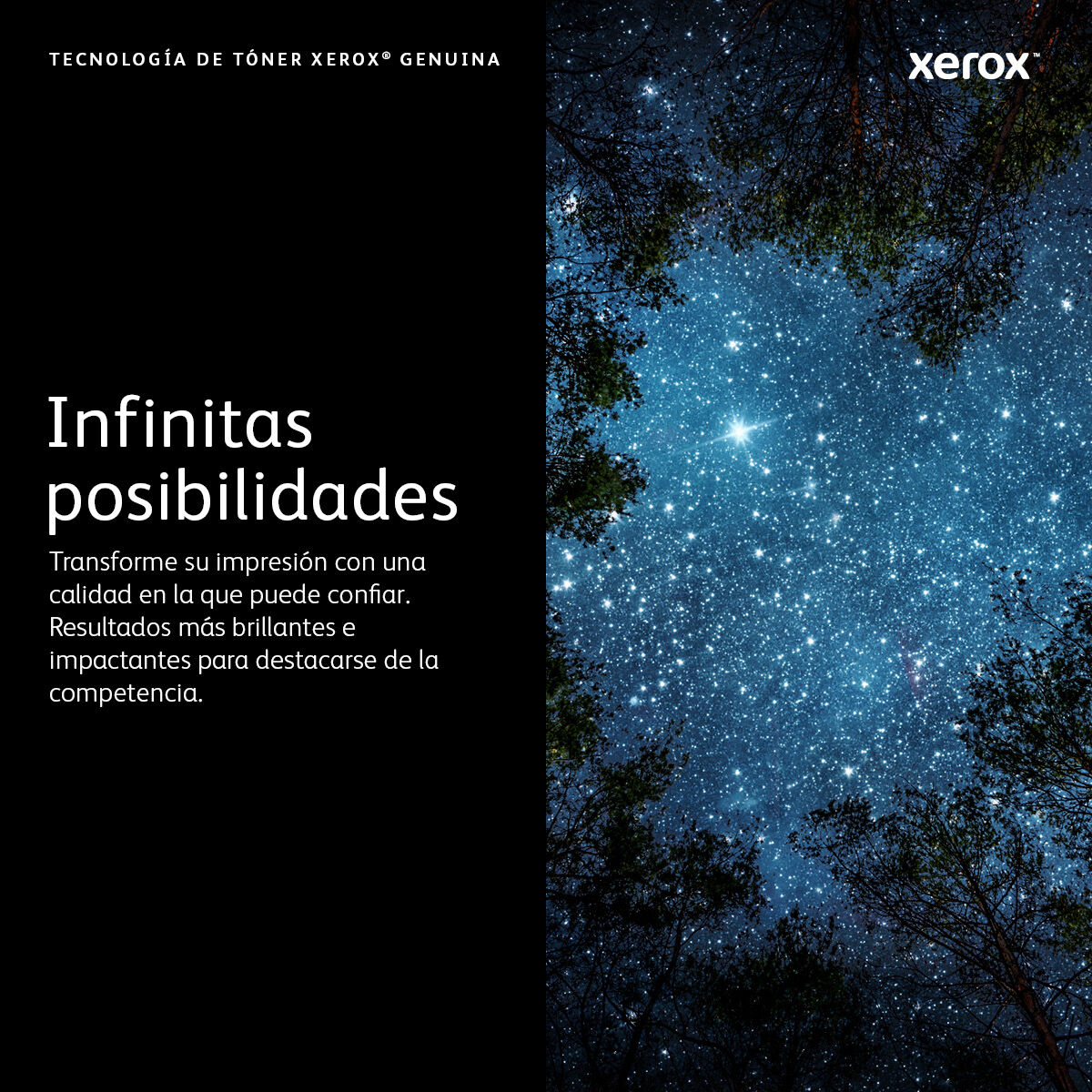 Picture of Toner Xerox 006R04396 Cyan