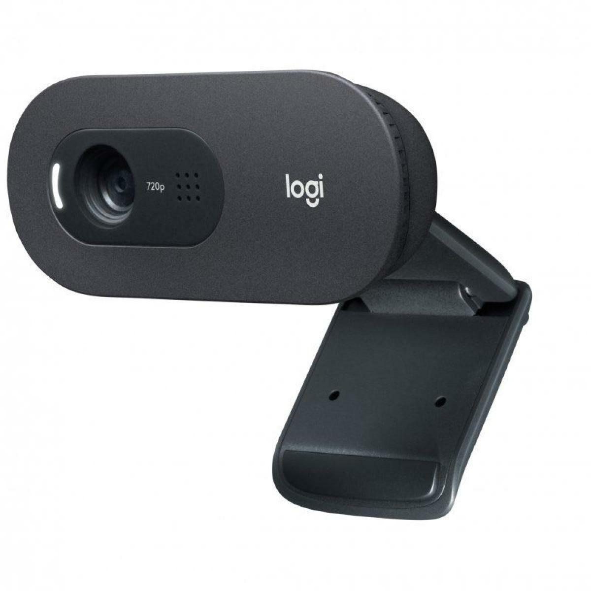 Webcam Logitech C505e Black