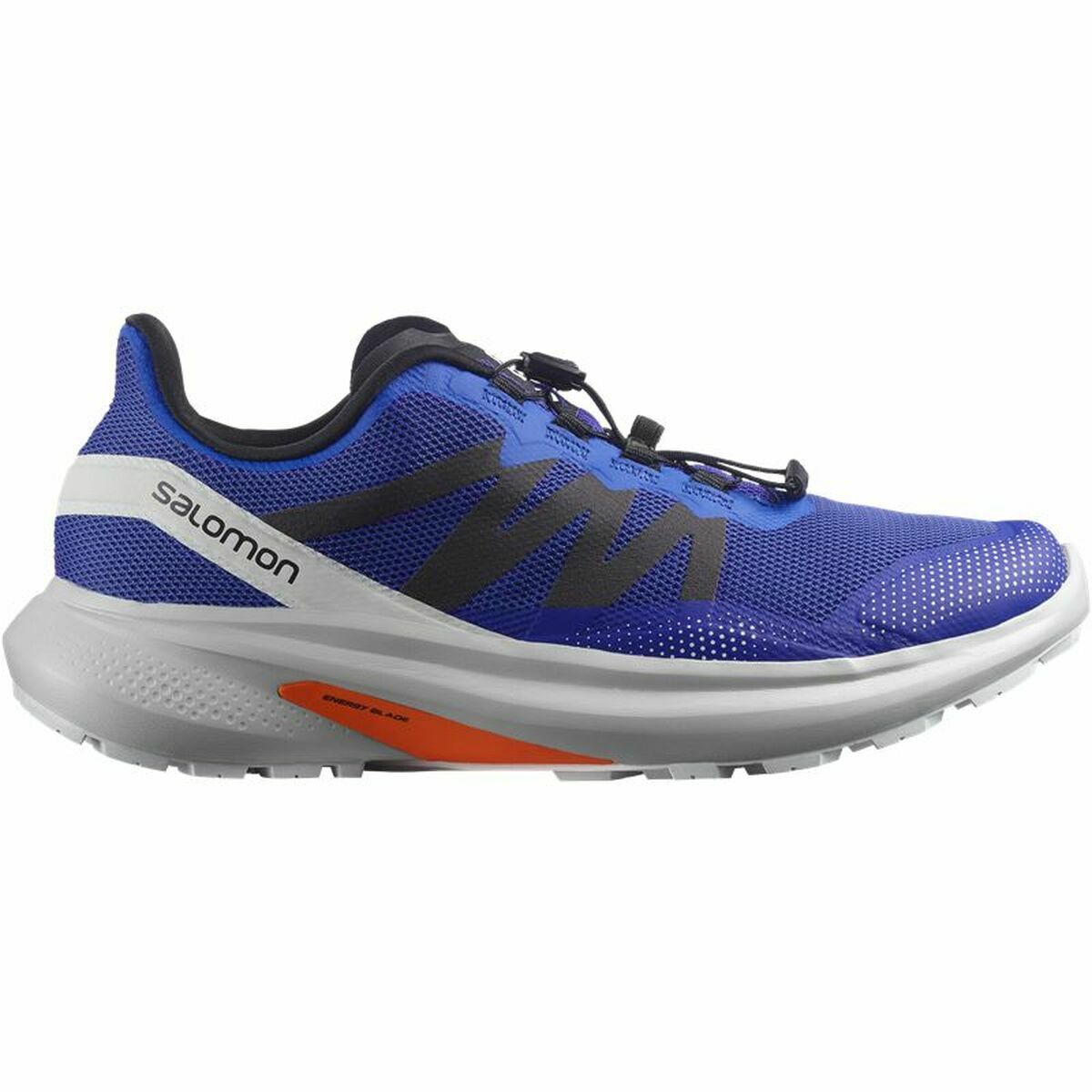 Chaussures de Sport pour Homme Salomon Dazzling Hypulse Bleu