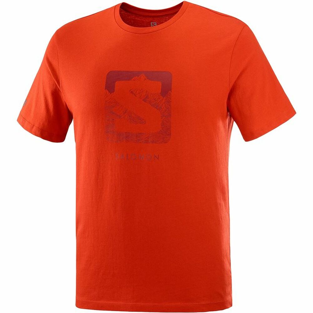 Kortarmet T-skjorte til Menn Salomon Outlife Logo Rød