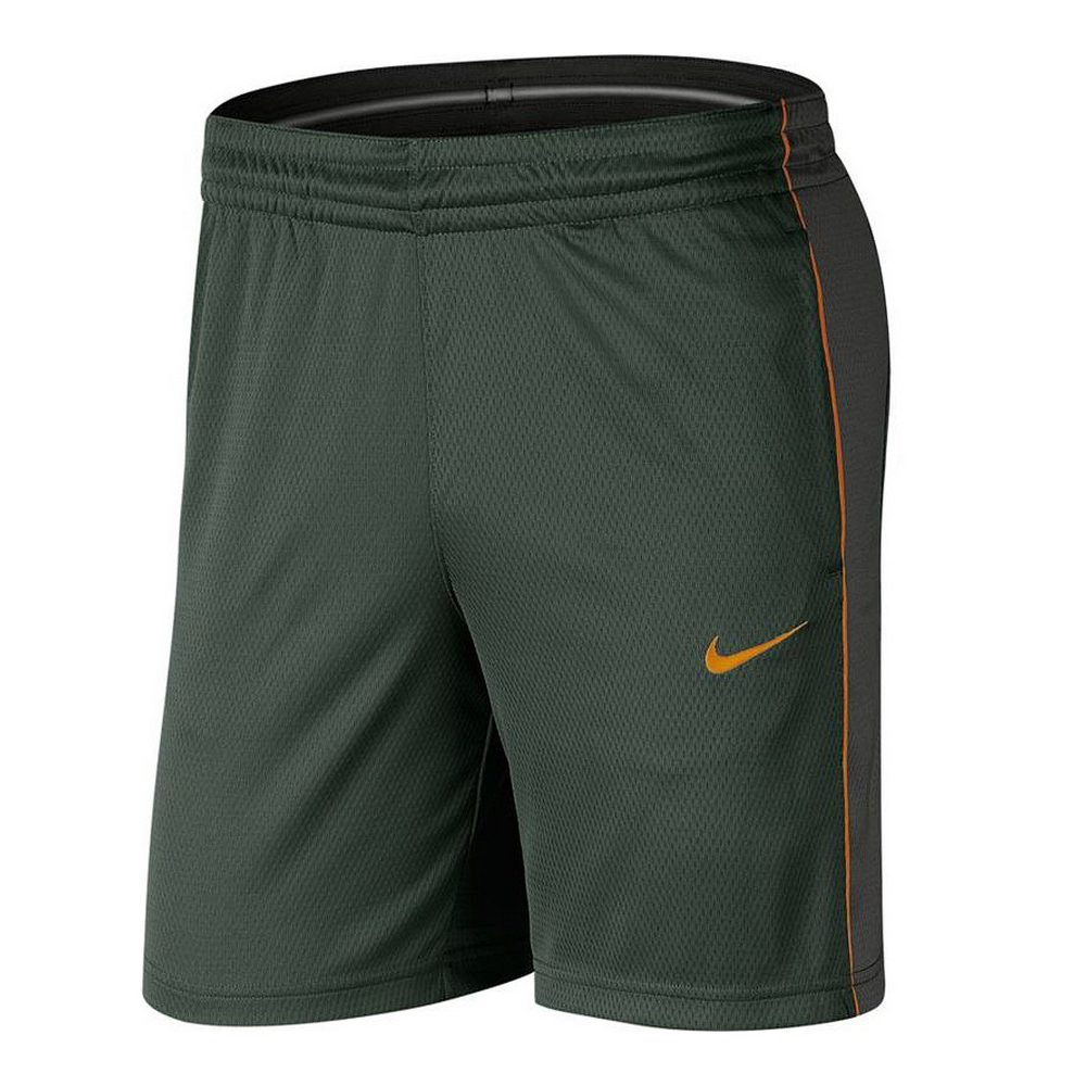 Sports Shorts Nike Dry-Fit Essentil Green