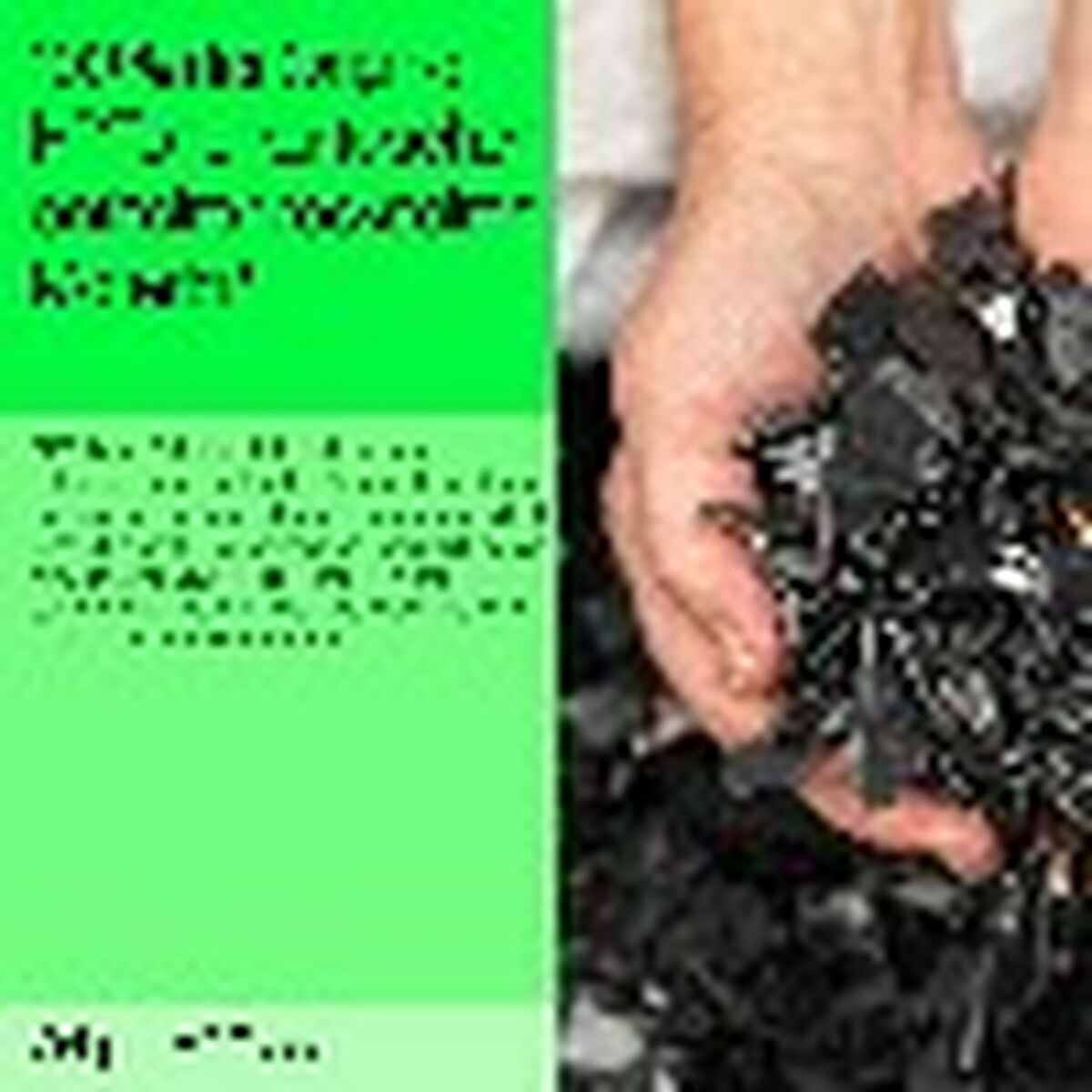 Bild von Toner HP Black