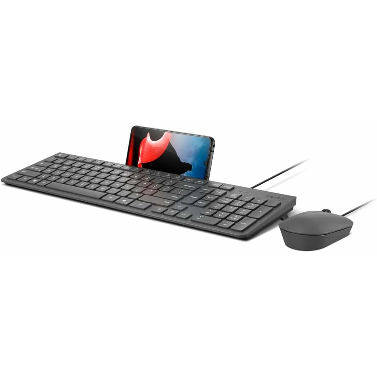 Afbeeldingen van Keyboard and Mouse Lenovo GX31R09791