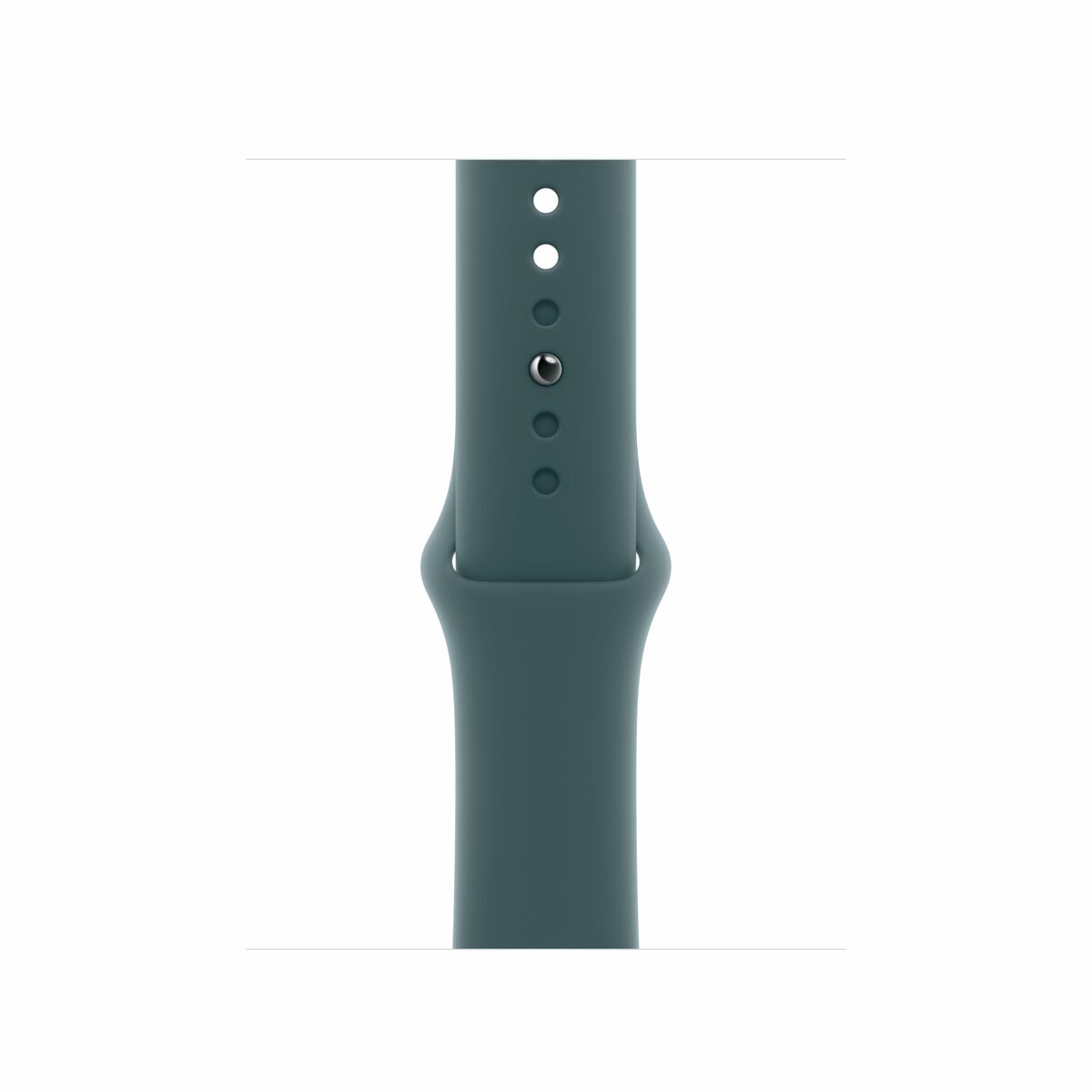 Afbeeldingen van Watch Strap Apple Q601-0DX