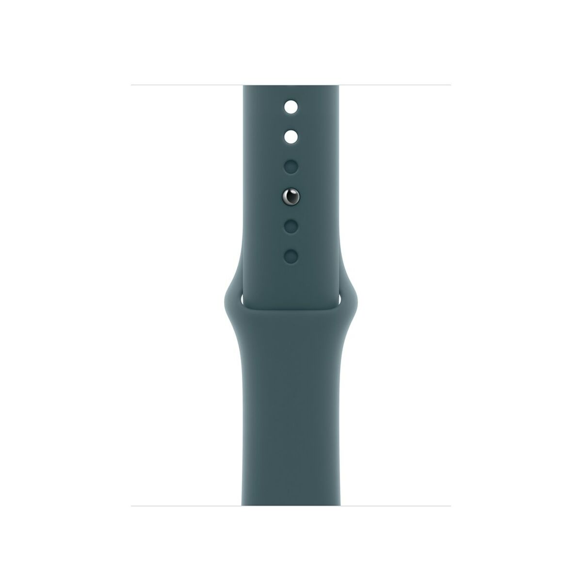 Afbeeldingen van Watch Strap Apple Q601-0DX