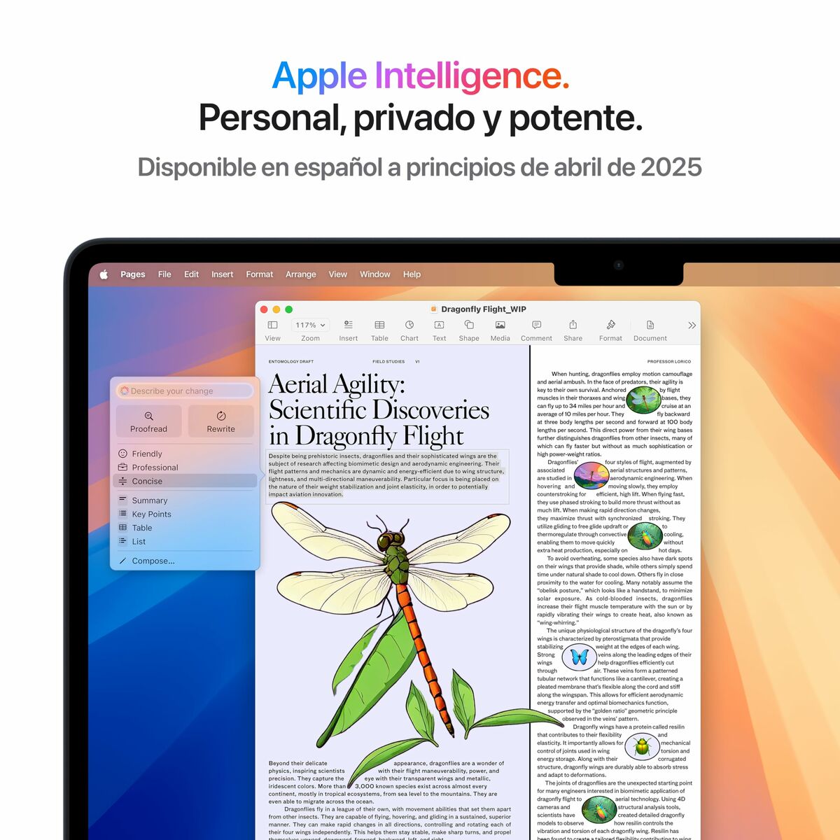 Picture of Laptop Apple MacBook Air 13" M4 16 GB RAM 512 GB SSD