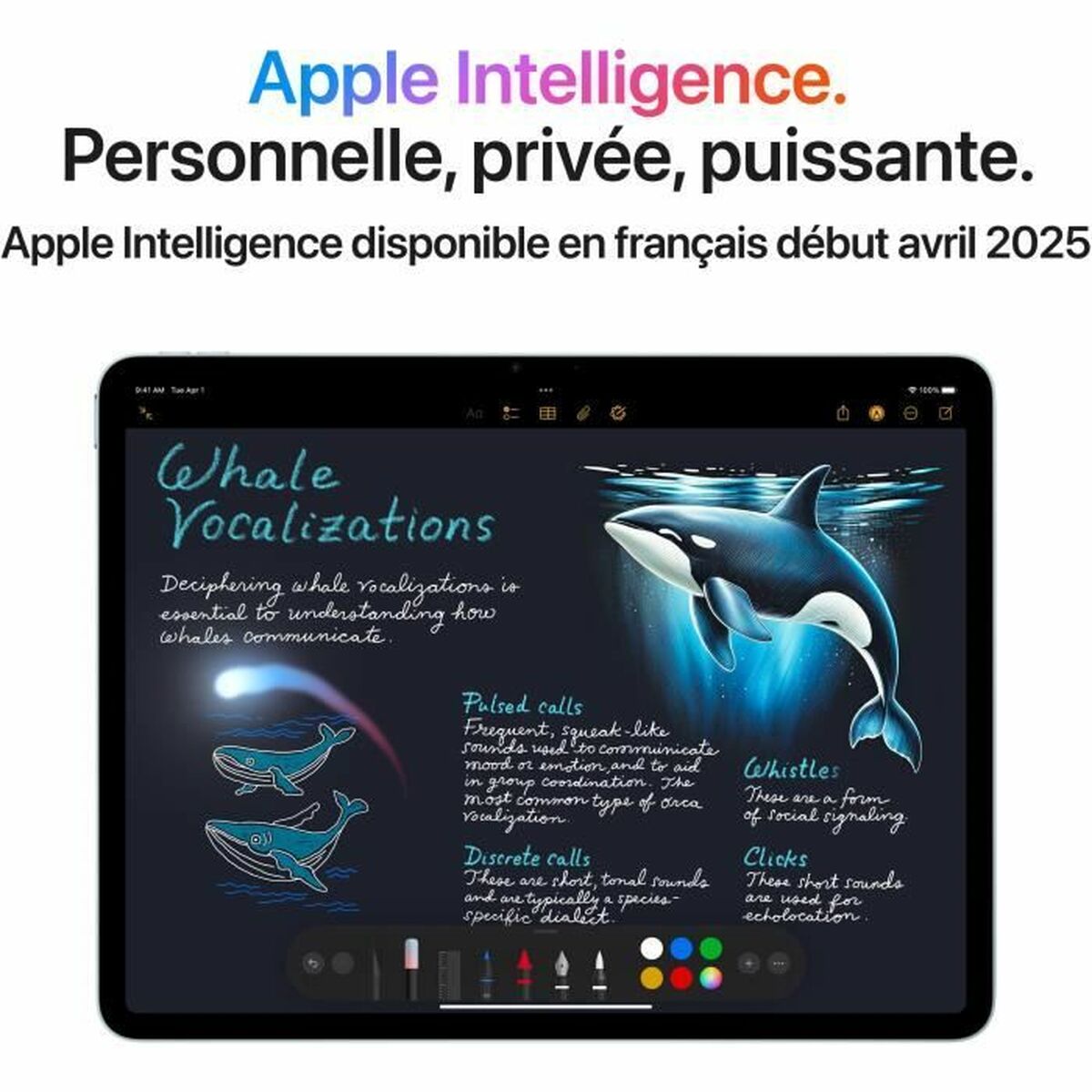 Afbeeldingen van Tablet Apple 13" M3 8 GB RAM 128 GB Blue