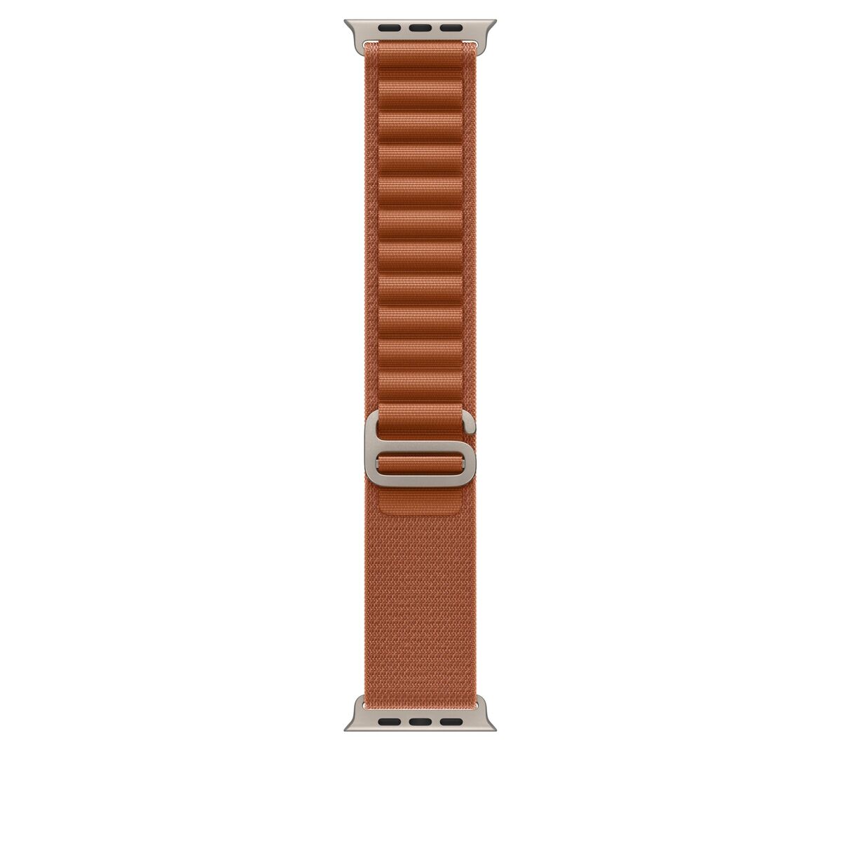Picture of Watch Strap Apple MFTC4ZM/A M