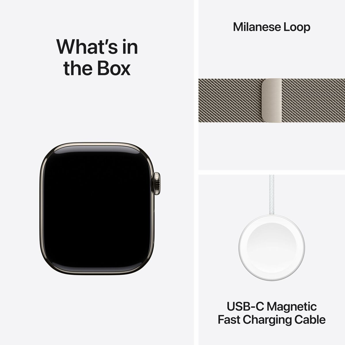 Smartwatch Apple Titanium