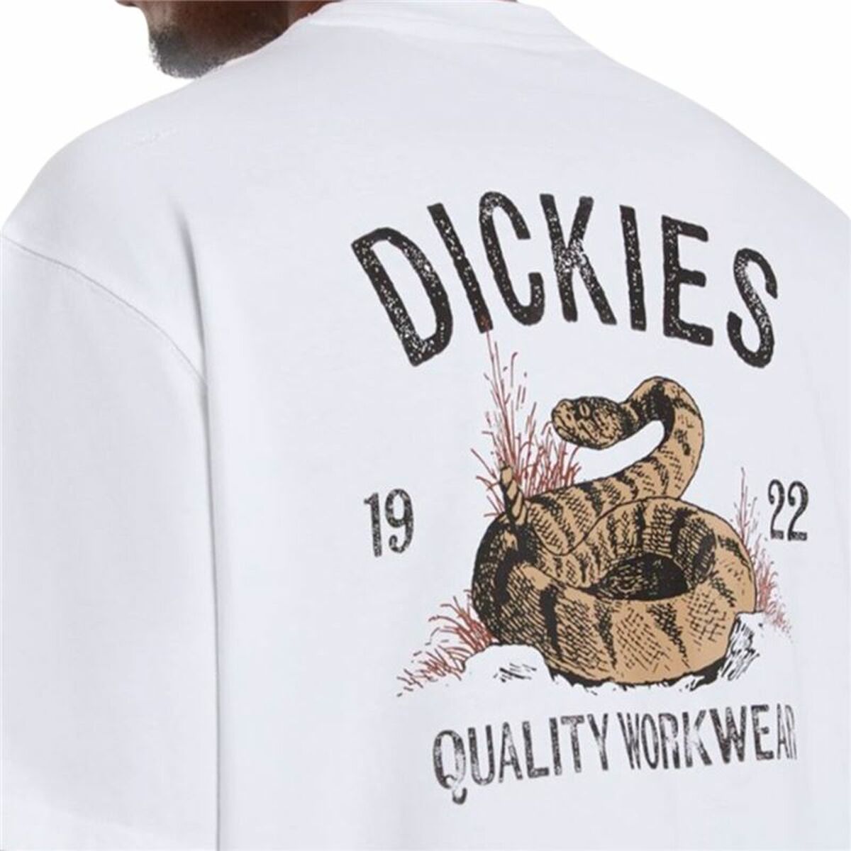 Image secondaire de T-shirt à manches courtes homme Dickies Dickies Snake Ss Tee Blanc