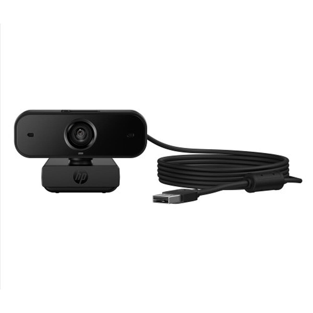 Picture of Webcam HP 77B10AA