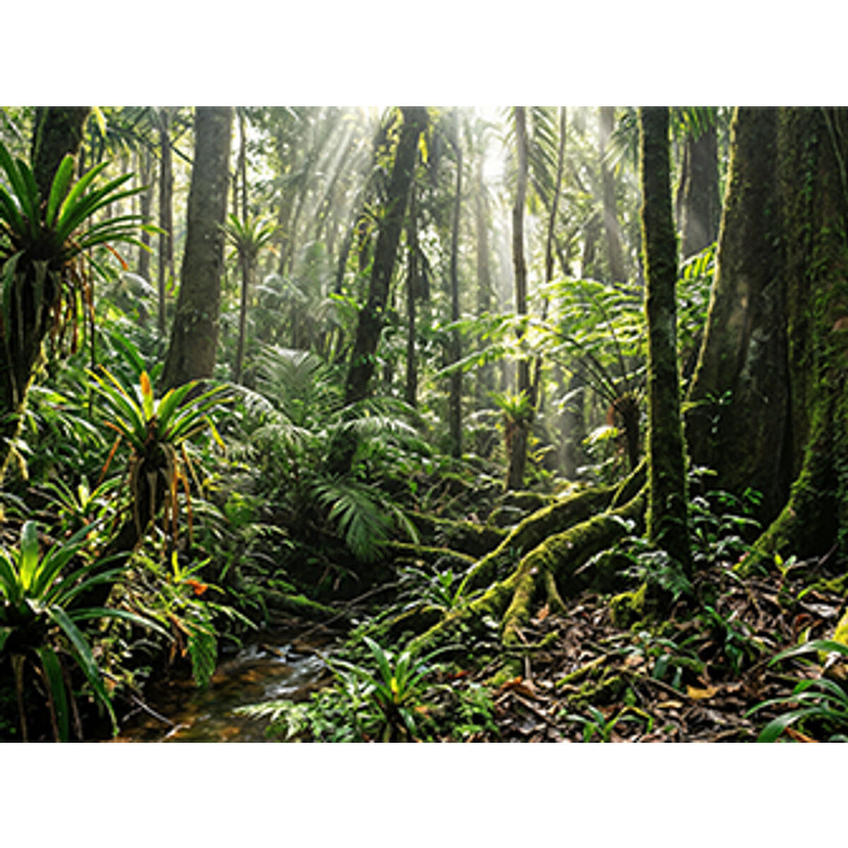 Bild von Laptop HP D4DG6AT#ABE 14" 32 GB RAM 1 TB SSD