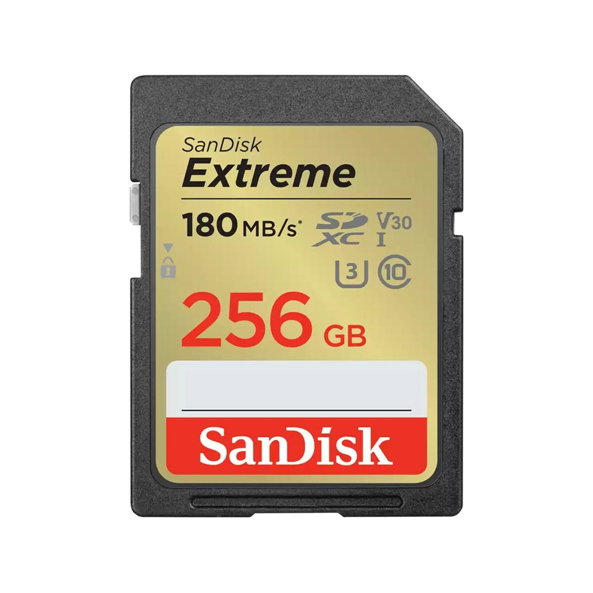 Carte Mémoire SDHC SanDisk Extreme 256 GB