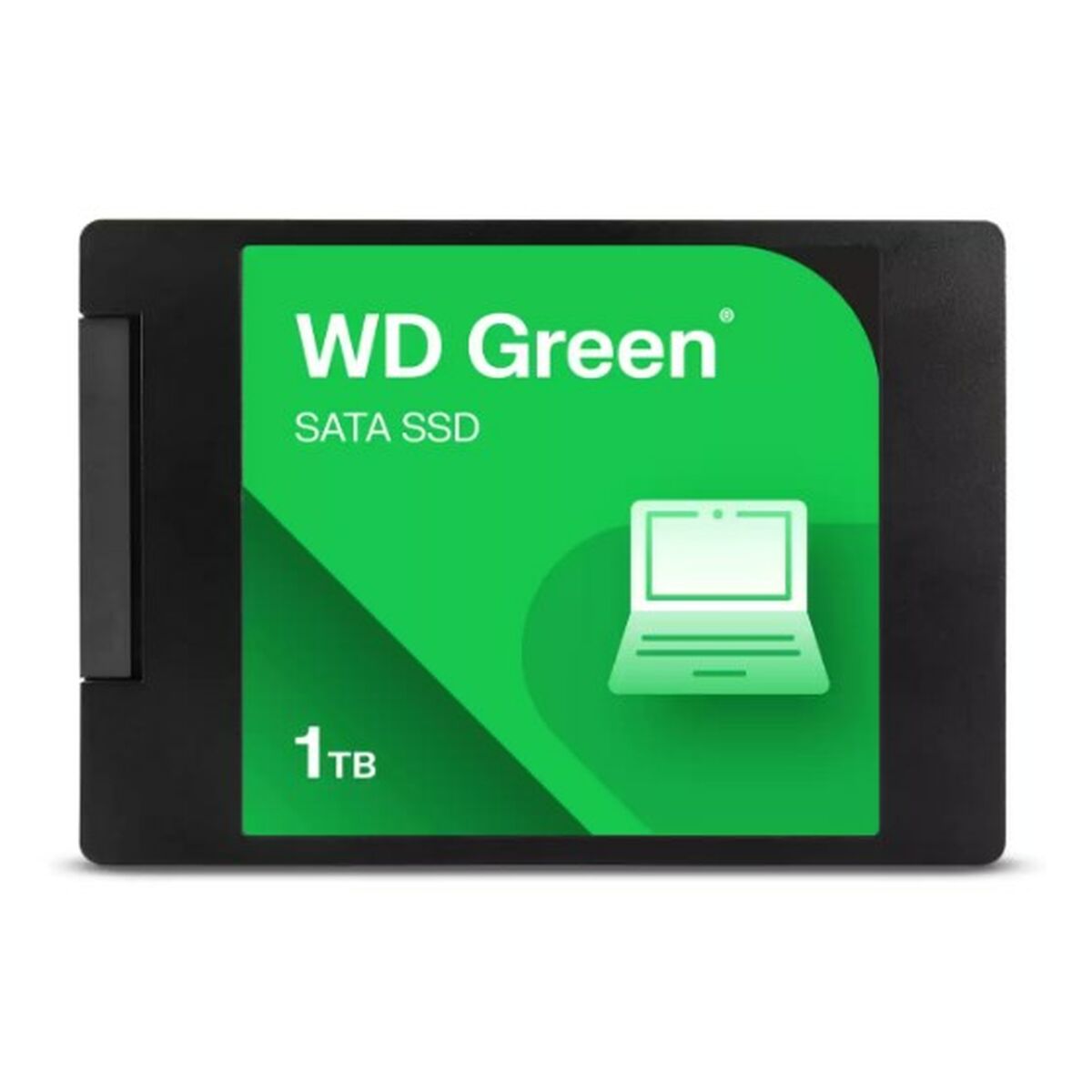 Σκληρός δίσκος Western Digital WDS100T5G0A