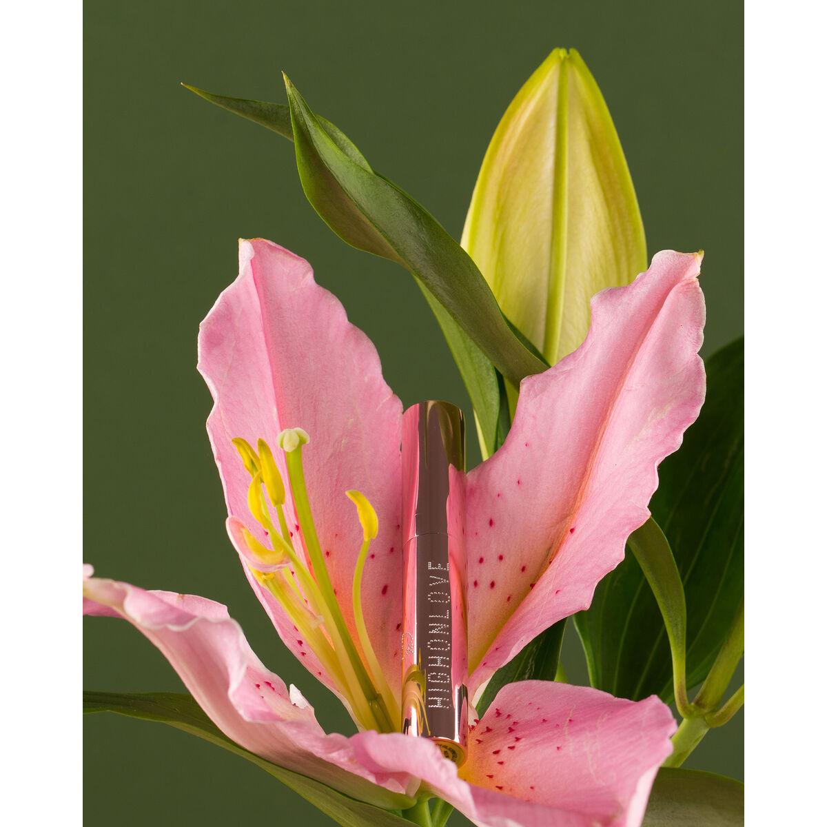 Lesk na rty Highonlove