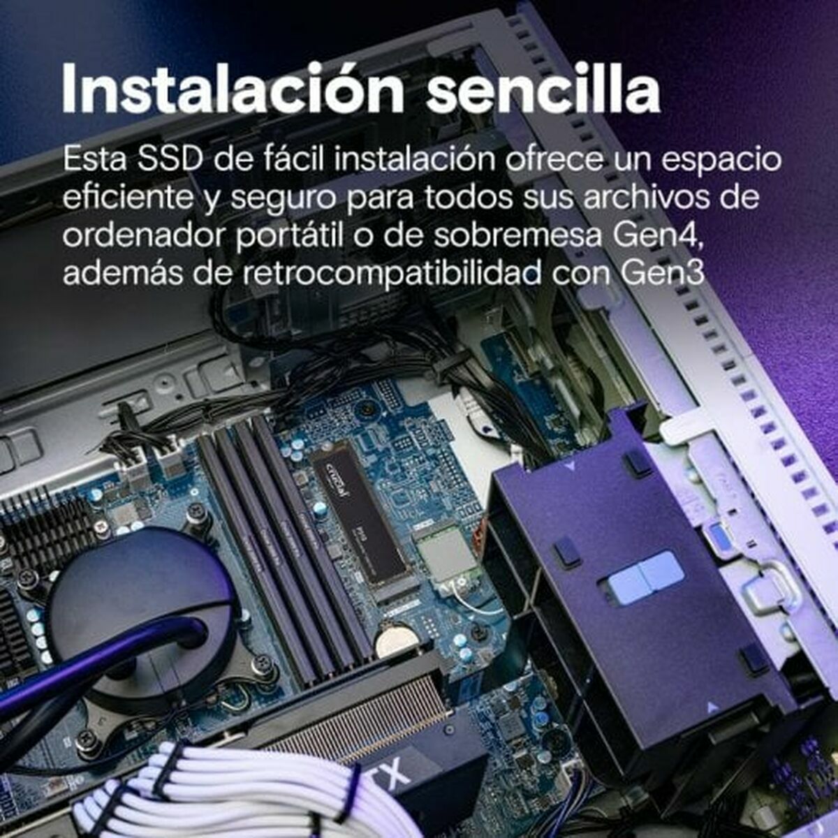 Picture of Hard Drive Crucial CT1000P310SSD8 1 TB SSD