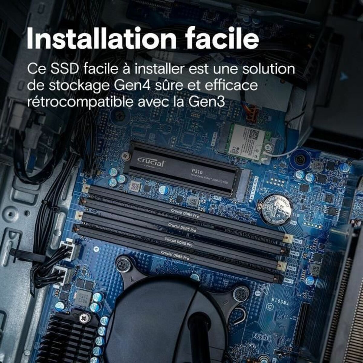 Picture of Hard Drive Crucial 2 TB SSD