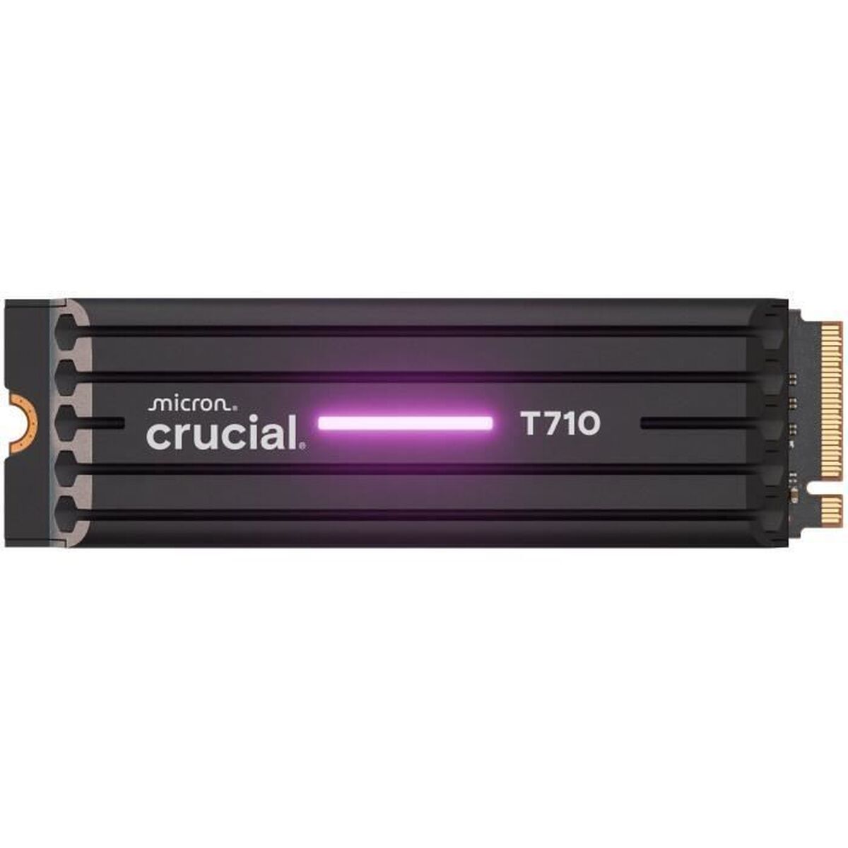 Picture of Hard Drive Crucial CT4000T710SSD5