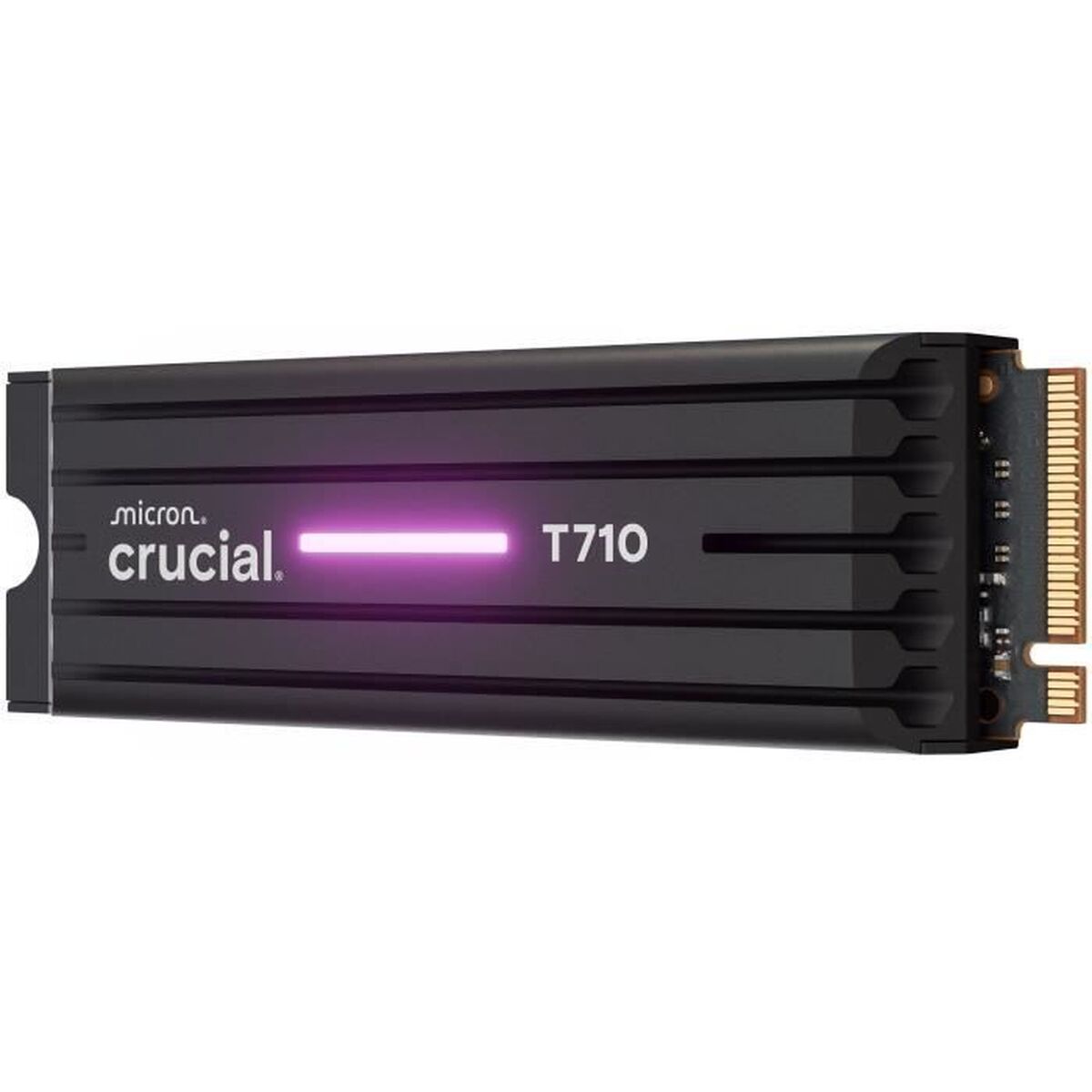 Picture of Hard Drive Crucial CT4000T710SSD5