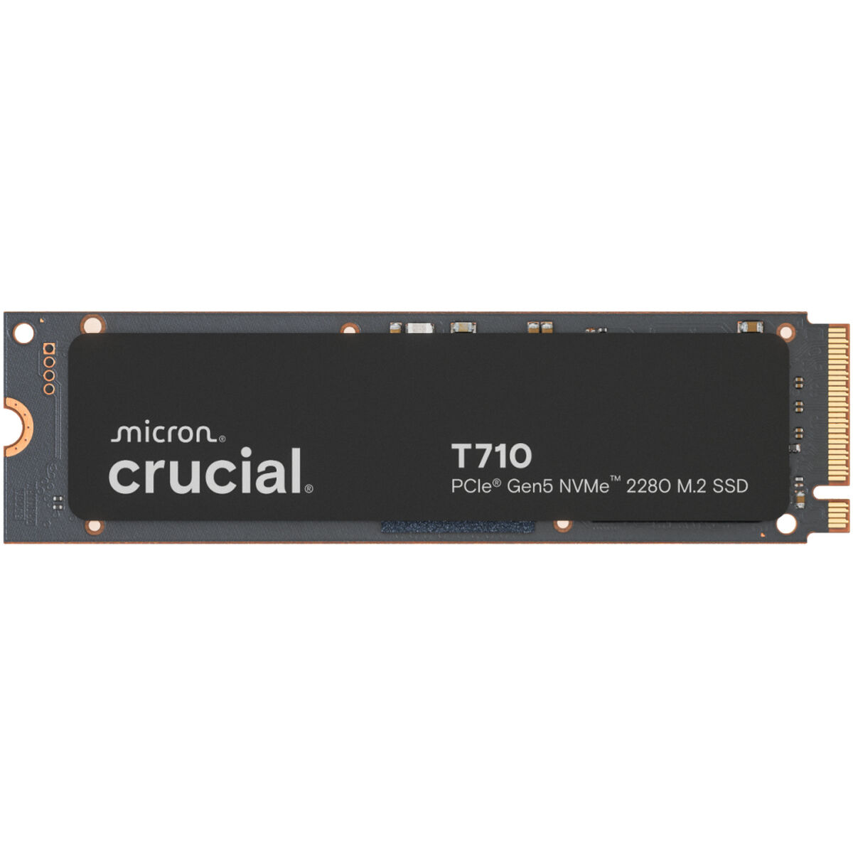 Picture of Hard Drive Crucial CT1000T710SSD8