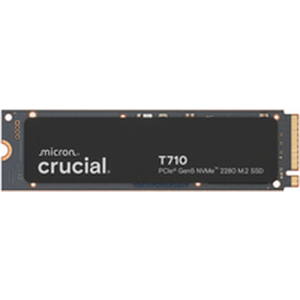 Picture of Hard Drive Crucial CT1000T710SSD8