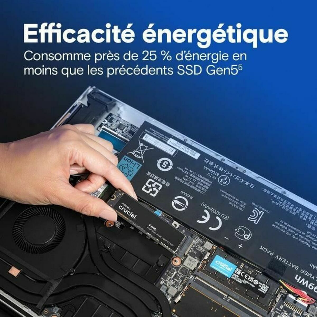 Picture of Hard Drive Crucial 1 TB SSD