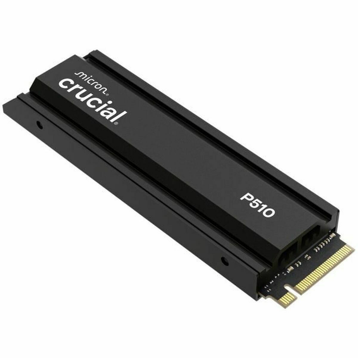Picture of Hard Drive Crucial CT1000P510SSD5 1 TB SSD