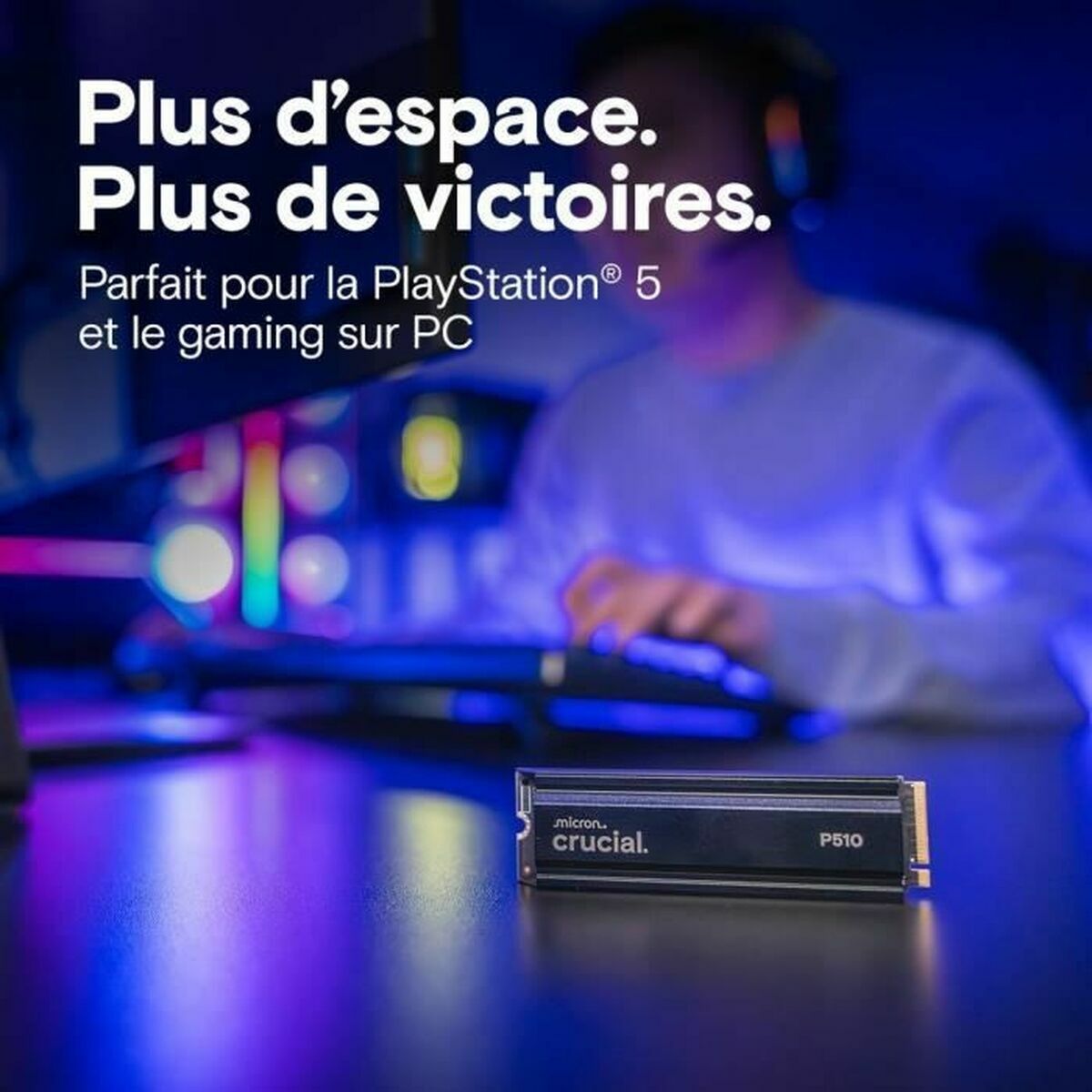 Picture of Hard Drive Crucial CT1000P510SSD5 1 TB SSD