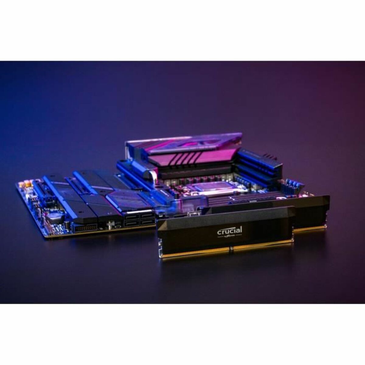 Afbeeldingen van RAM Memory Crucial Pro OC 64 GB DDR5 6000 MHz CL40