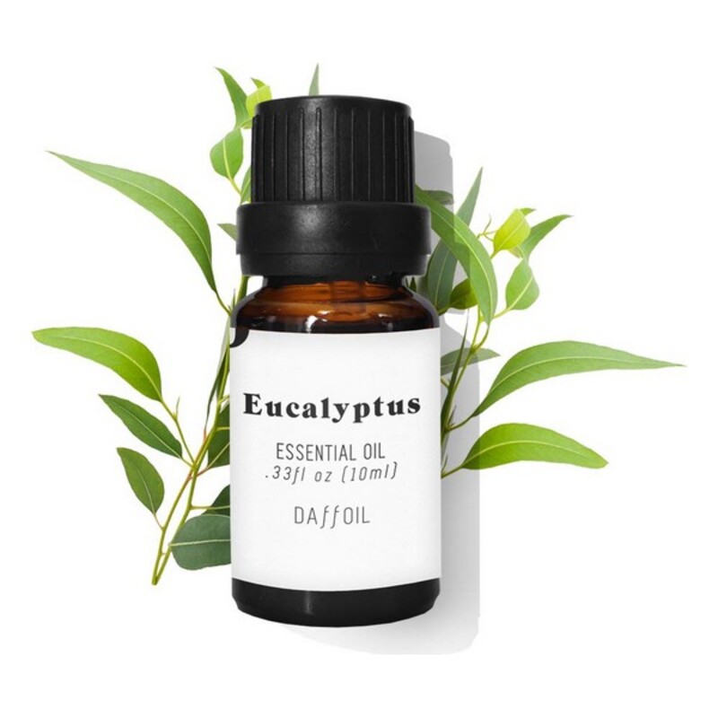 Essential oil Daffoil Eucalyptus (10 ml)