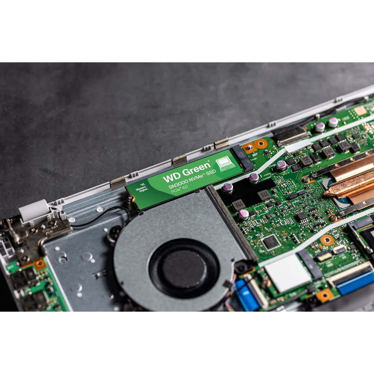 Hard Drive Western Digital WDS100T4G0E-00CPS0 1 TB SSD