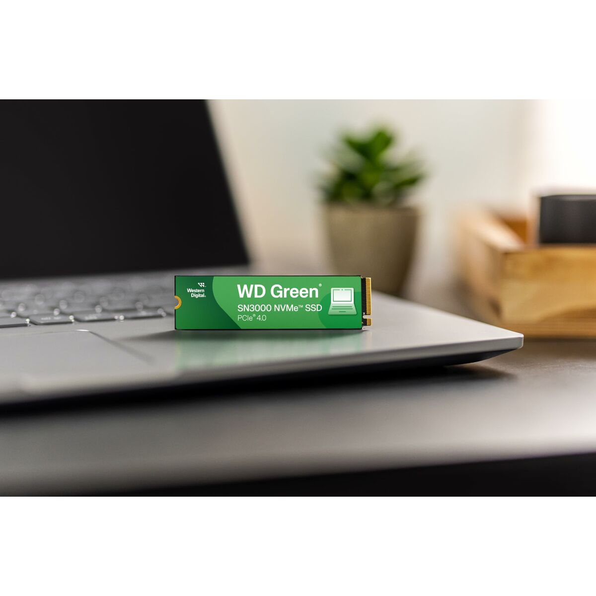 Afbeeldingen van Hard Drive Western Digital WD Green SN3000 1 TB SSD