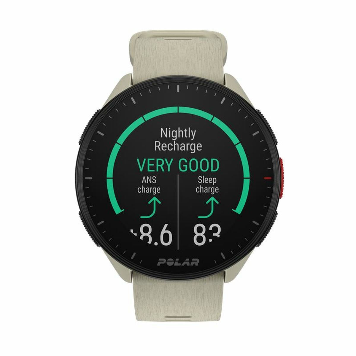 Picture of Watch Sporting Polar White 1,2"