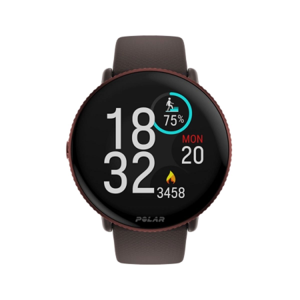 Bild von Smartwatch Polar 900106604 Brown 1,28" 1,2" 43 mm