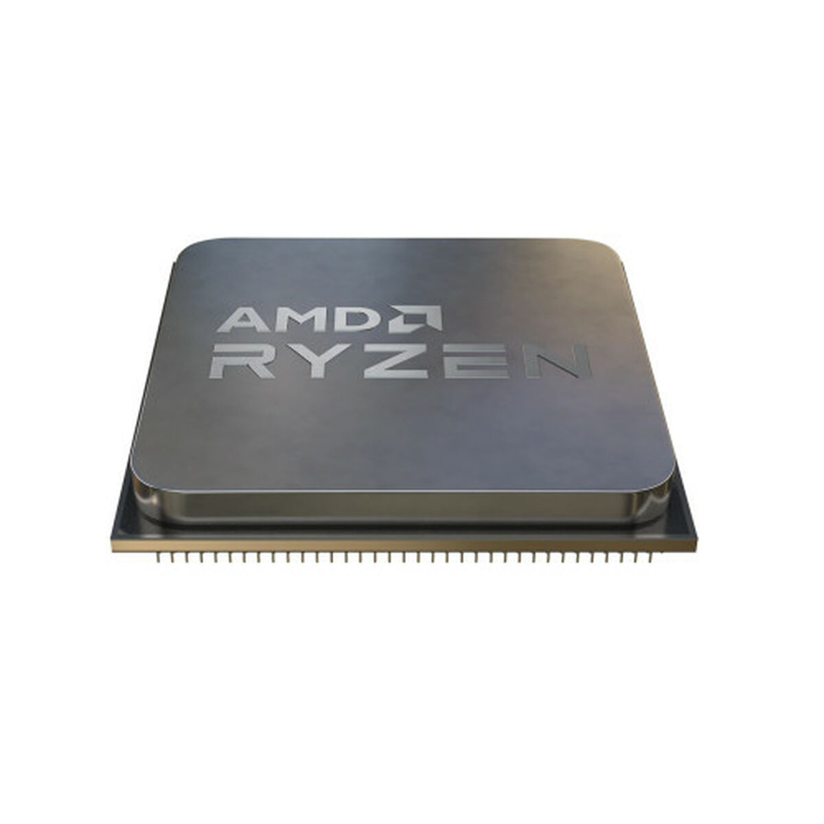 AMD Ryzen 5 3600 Processor