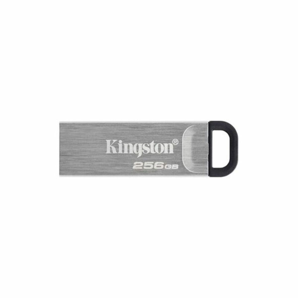 Obrazek Pendrive Kingston DTKN/256GB USB 3.2 Silver Black 256 GB