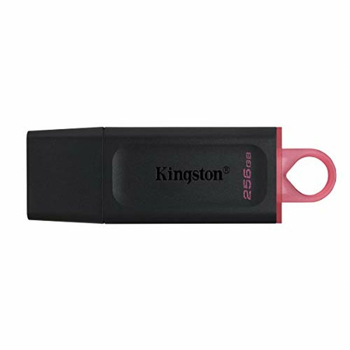 Image de USB stick Kingston DTX/256GB Keychain Black 256 GB