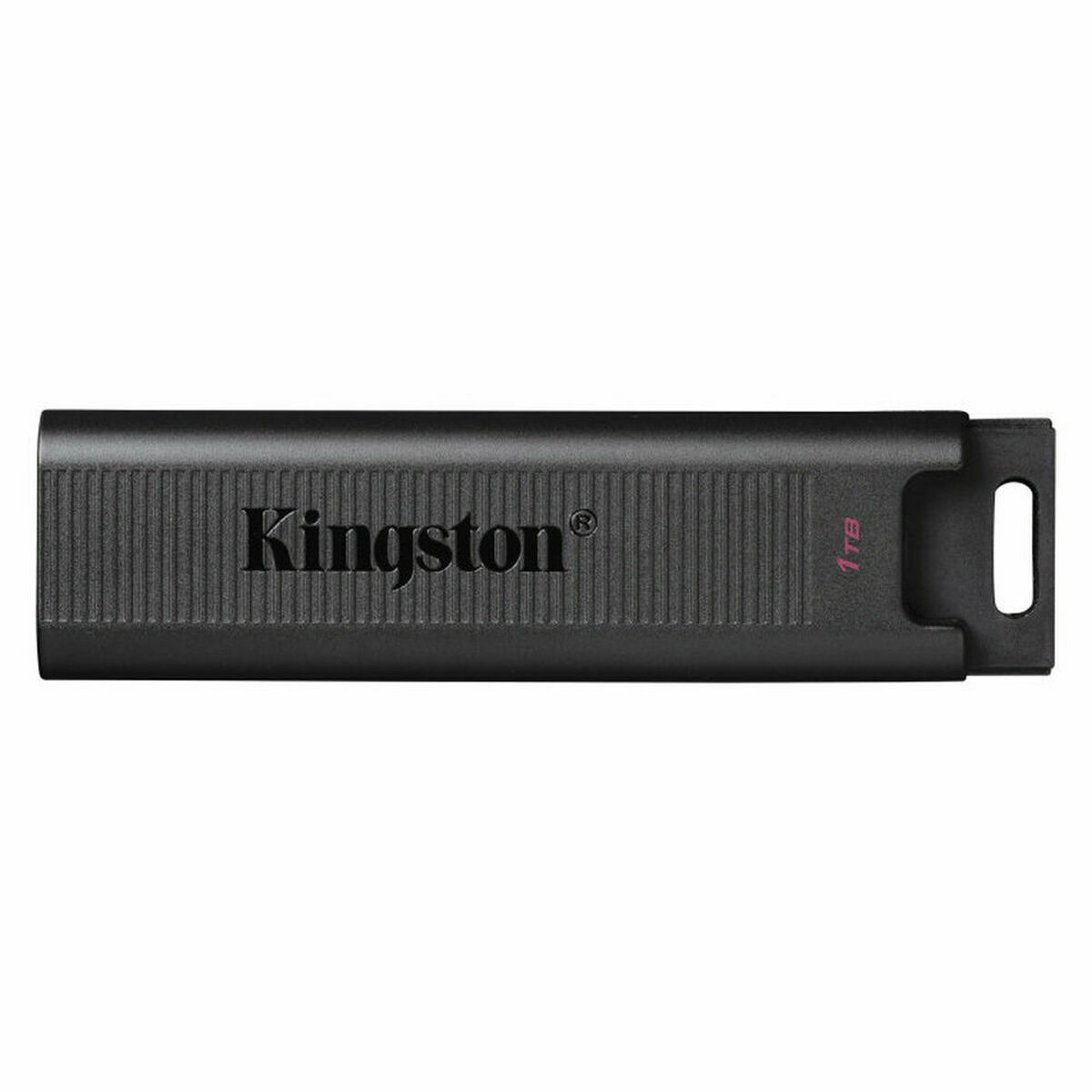 USB-stik   Kingston DTMAX/1TB         Sort  